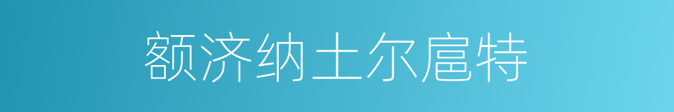 额济纳土尔扈特的同义词