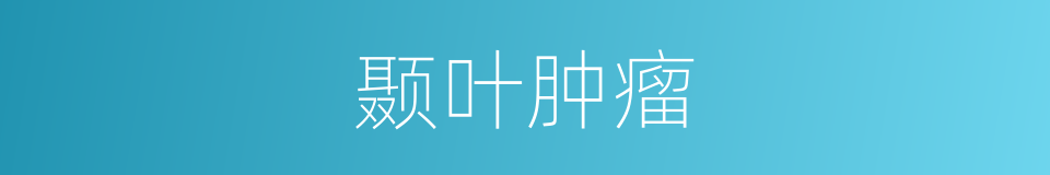 颞叶肿瘤的同义词