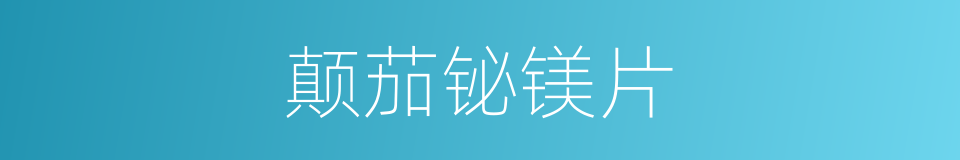 颠茄铋镁片的同义词