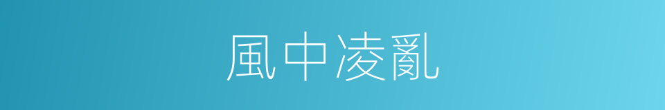風中凌亂的意思