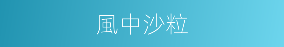 風中沙粒的同義詞