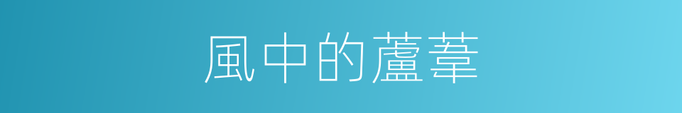 風中的蘆葦的同義詞