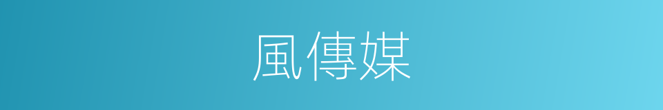 風傳媒的同義詞