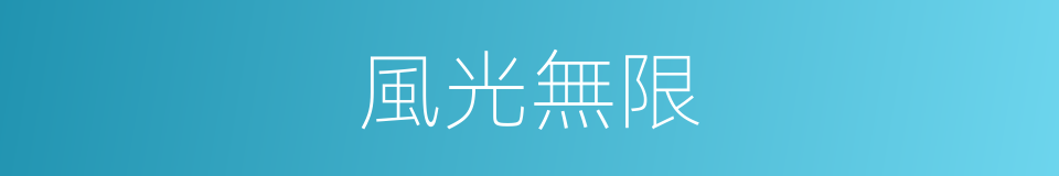 風光無限的意思