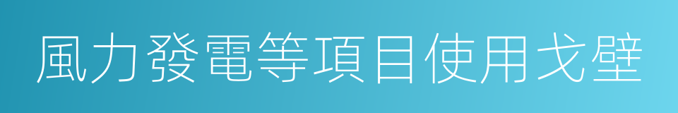 風力發電等項目使用戈壁的同義詞