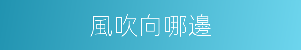 風吹向哪邊的同義詞