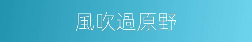 風吹過原野的同義詞