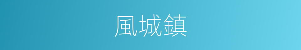 風城鎮的同義詞