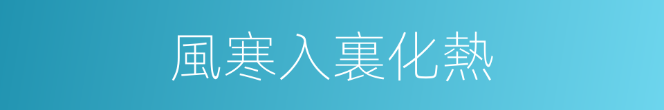 風寒入裏化熱的同義詞