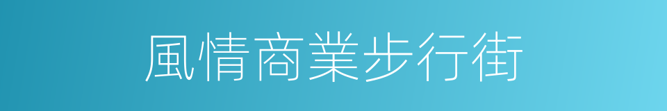 風情商業步行街的同義詞