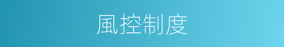 風控制度的同義詞