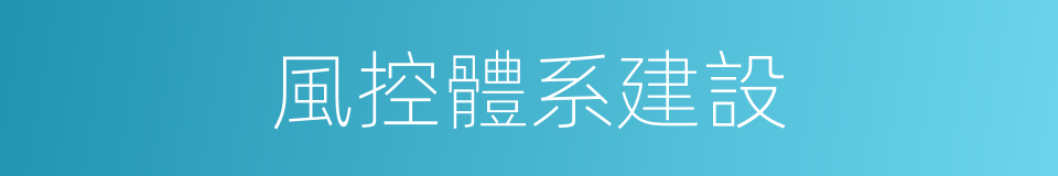 風控體系建設的同義詞