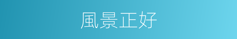 風景正好的同義詞
