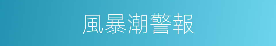 風暴潮警報的同義詞