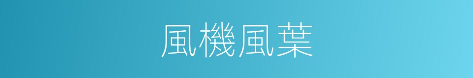 風機風葉的同義詞