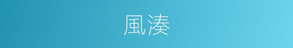 風湊的同義詞
