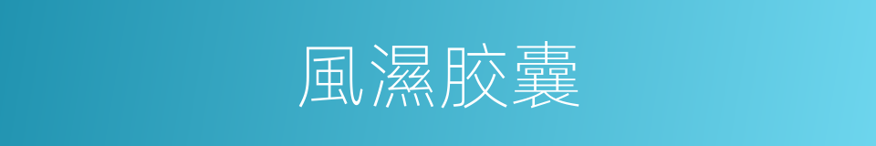 風濕胶囊的同義詞