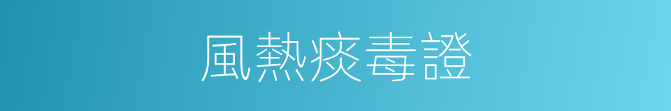 風熱痰毒證的同義詞