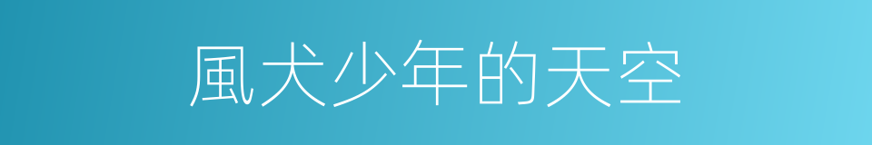 風犬少年的天空的同義詞