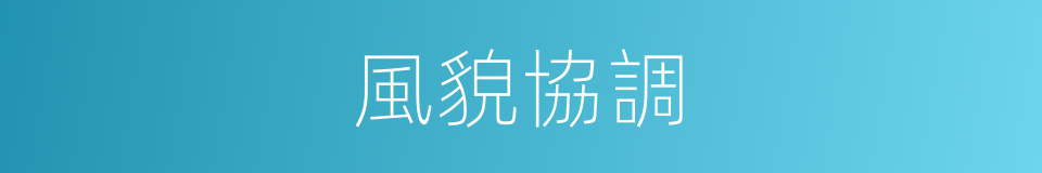 風貌協調的同義詞