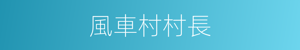 風車村村長的同義詞