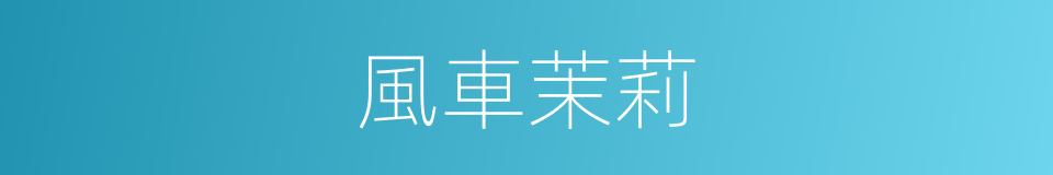 風車茉莉的同義詞