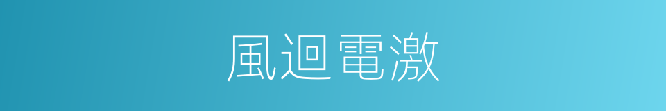 風迴電激的意思
