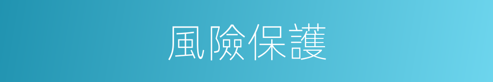 風險保護的同義詞