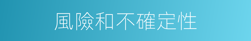 風險和不確定性的同義詞