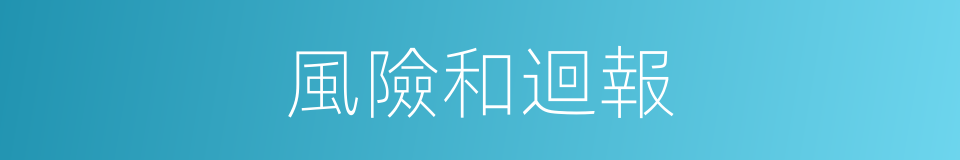 風險和迴報的同義詞
