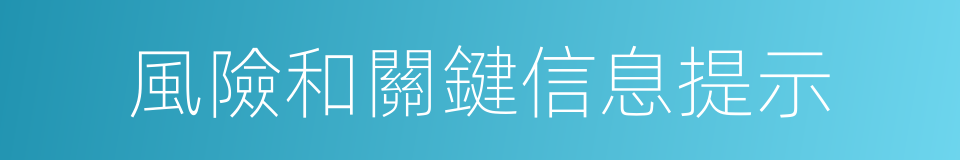 風險和關鍵信息提示的同義詞