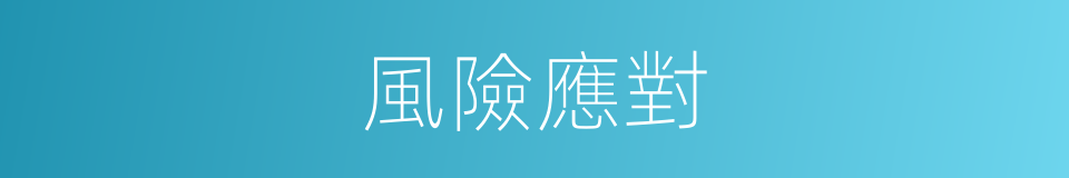 風險應對的同義詞