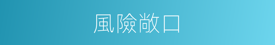 風險敞口的意思
