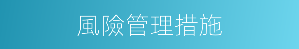 風險管理措施的同義詞