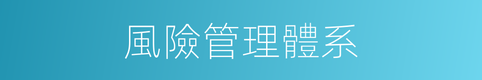 風險管理體系的同義詞