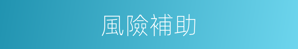 風險補助的同義詞