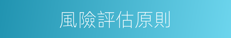 風險評估原則的同義詞