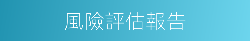 風險評估報告的同義詞
