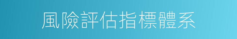 風險評估指標體系的同義詞
