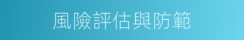 風險評估與防範的同義詞
