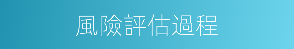 風險評估過程的同義詞