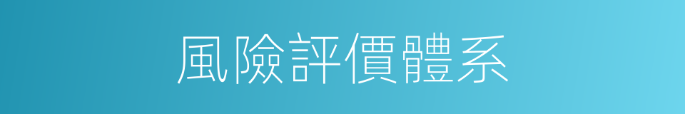 風險評價體系的同義詞