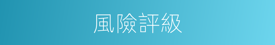 風險評級的同義詞