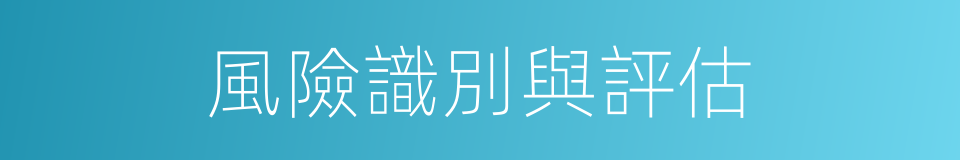 風險識別與評估的同義詞