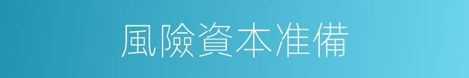 風險資本准備的同義詞