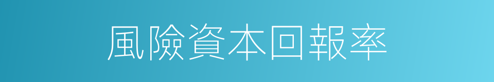 風險資本回報率的同義詞