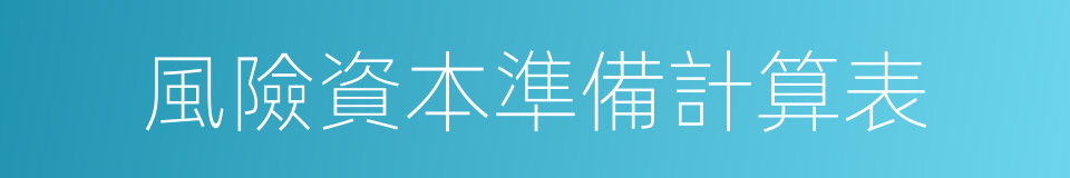 風險資本準備計算表的同義詞