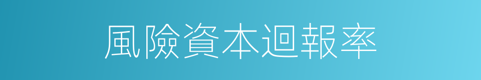 風險資本迴報率的同義詞