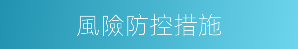 風險防控措施的同義詞