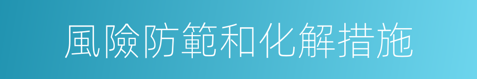 風險防範和化解措施的同義詞